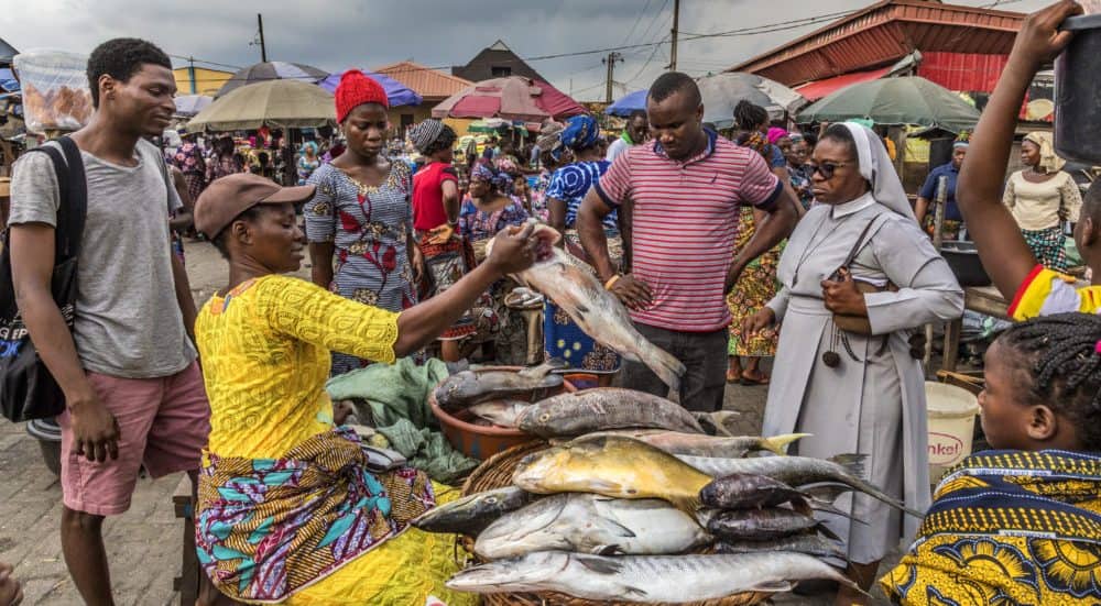 prices of fish in nigeria